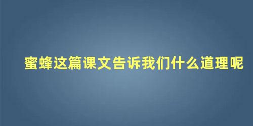 蜜蜂这篇课文告诉我们什么道理呢