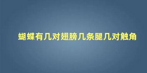 蝴蝶有几对翅膀几条腿几对触角