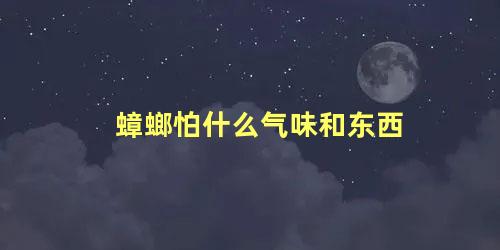 蟑螂怕什么气味和东西