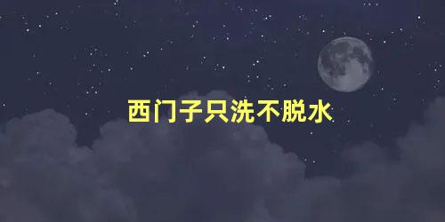 西门子只洗不脱水