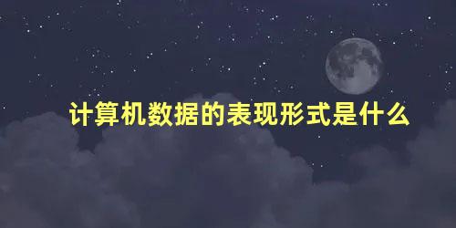 计算机数据的表现形式是什么