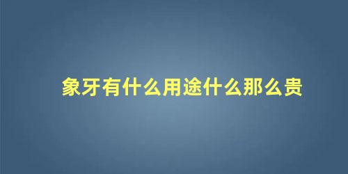 象牙有什么用途什么那么贵