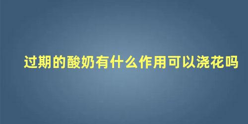 过期的酸奶有什么作用可以浇花吗