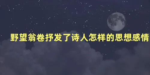 野望翁卷抒发了诗人怎样的思想感情