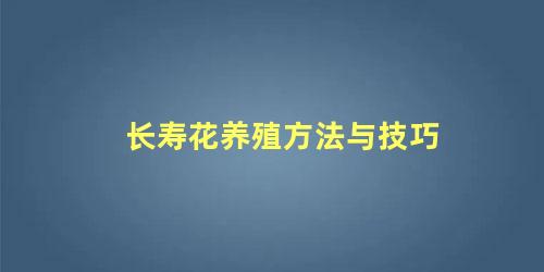 长寿花养殖方法与技巧