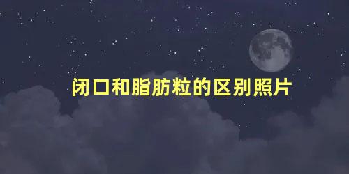 闭口和脂肪粒的区别照片