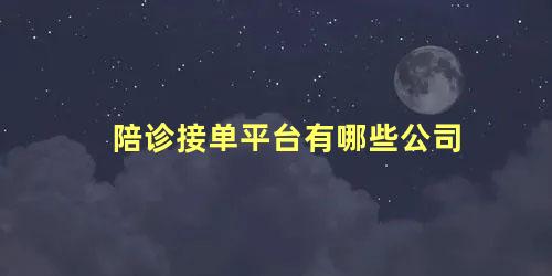 陪诊接单平台有哪些公司