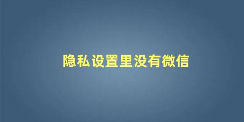 隐私设置里没有微信