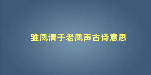 雏凤清于老凤声古诗意思