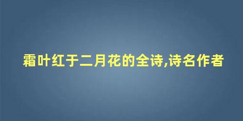 霜叶红于二月花的全诗,诗名作者