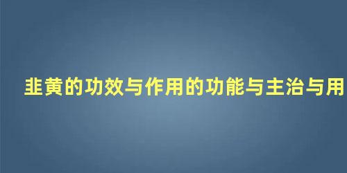 韭黄的功效与作用的功能与主治与用量