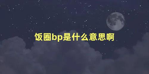 饭圈bp是什么意思啊