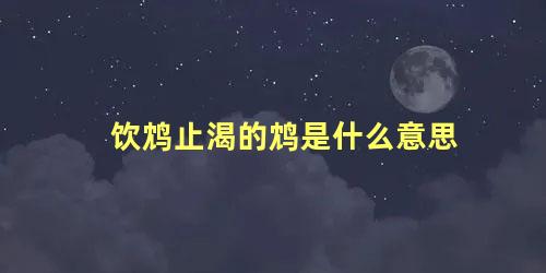 饮鸩止渴的鸩是什么意思