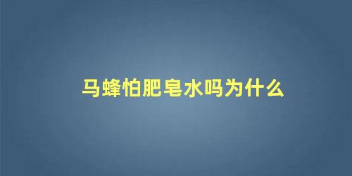 马蜂怕肥皂水吗为什么