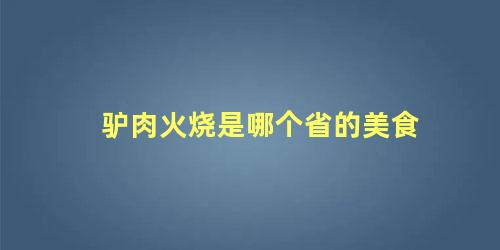 驴肉火烧是哪个省的美食