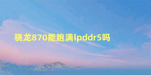 骁龙870能跑满lpddr5吗