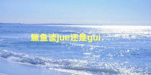 鳜鱼读jue还是gui