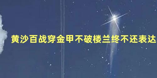 黄沙百战穿金甲不破楼兰终不还表达了诗人怎样的感情