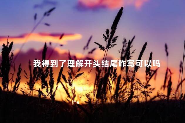 我得到了理解开头结尾咋写可以吗