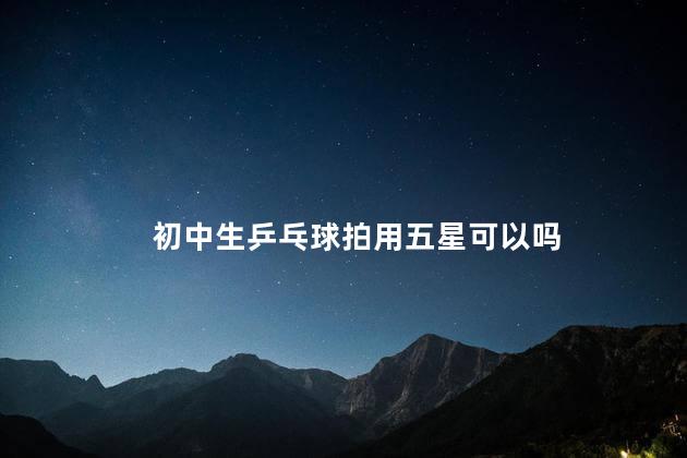 初中生乒乓球拍用五星可以吗