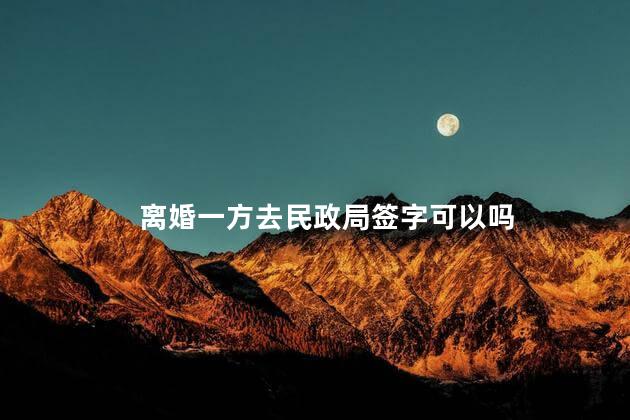 离婚一方去民政局签字可以吗