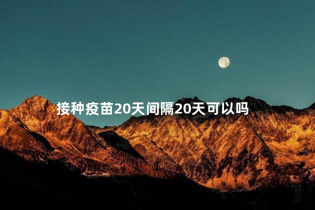 接种疫苗20天间隔20天可以吗