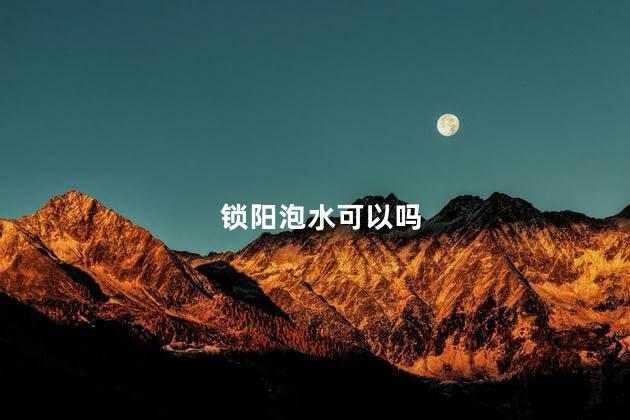 锁阳泡水可以吗