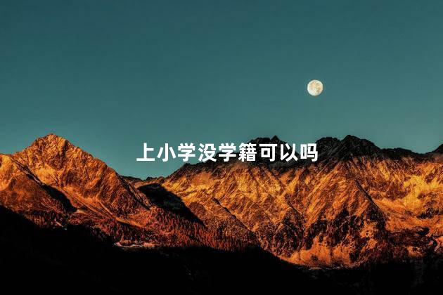 上小学没学籍可以吗