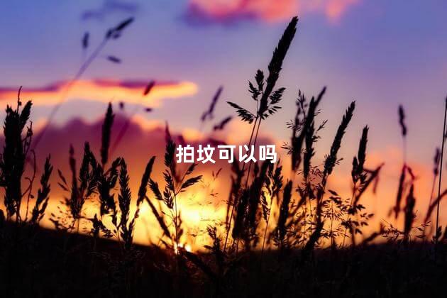 拍坟可以吗