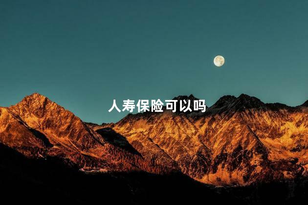 人寿保险可以吗