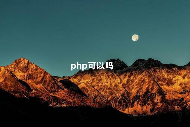 php可以吗