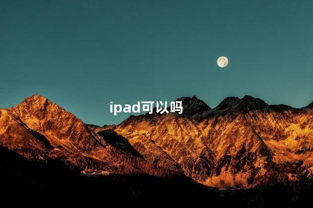 ipad可以吗