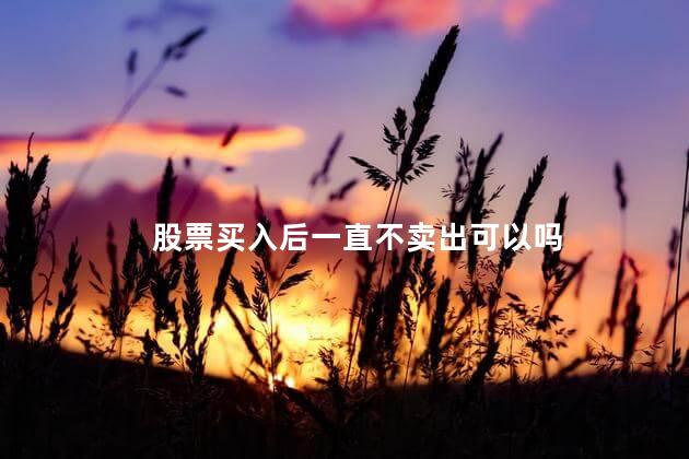 股票买入后一直不卖出可以吗