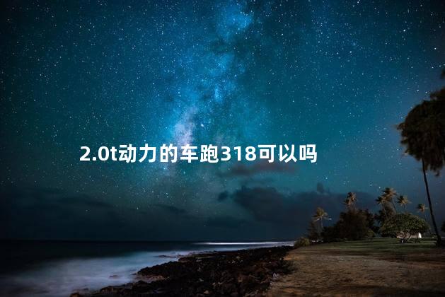 2.0t动力的车跑318可以吗