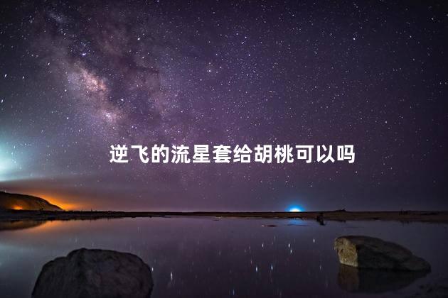 逆飞的流星套给胡桃可以吗