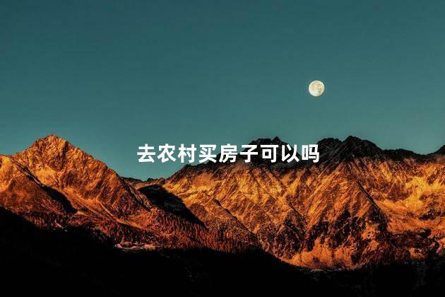 去农村买房子可以吗