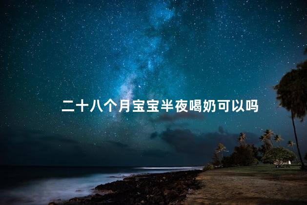 二十八个月宝宝半夜喝奶可以吗