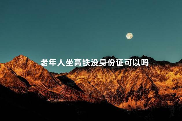 老年人坐高铁没身份证可以吗