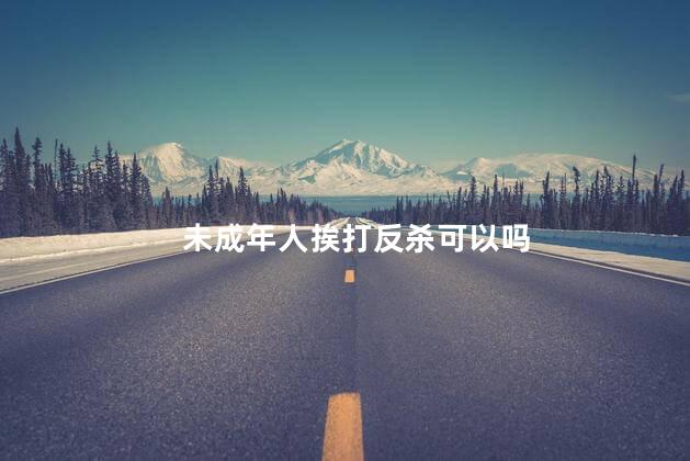 未成年人挨打反杀可以吗