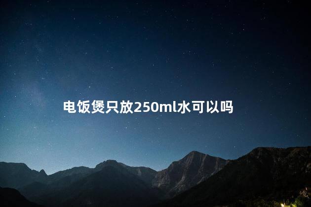 电饭煲只放250ml水可以吗