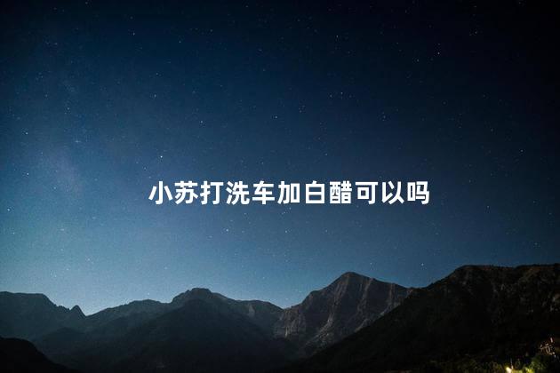 小苏打洗车加白醋可以吗