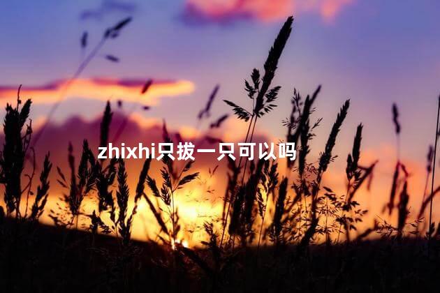 zhixhi只拔一只可以吗