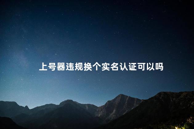 上号器违规换个实名认证可以吗