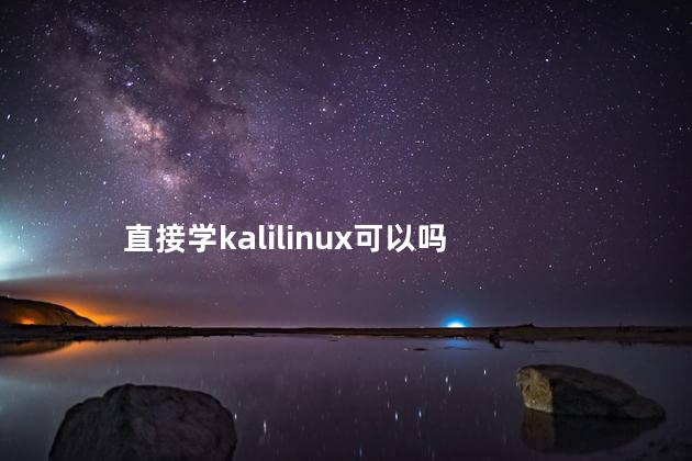 直接学kalilinux可以吗