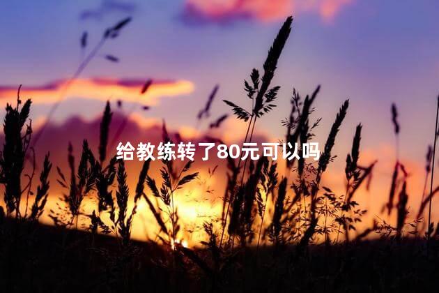 给教练转了80元可以吗