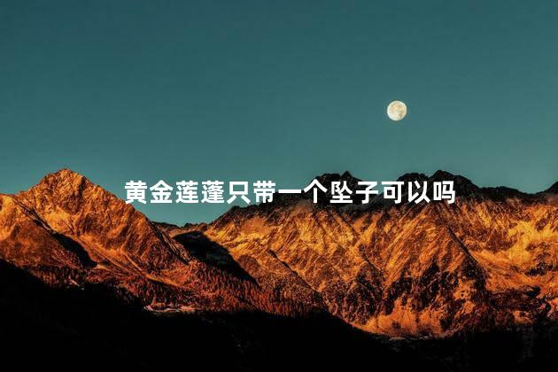 黄金莲蓬只带一个坠子可以吗