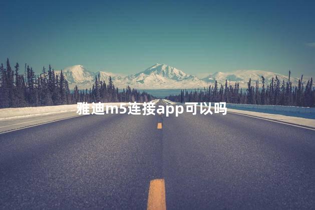 雅迪m5连接app可以吗