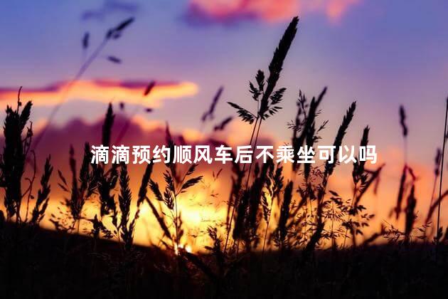 滴滴预约顺风车后不乘坐可以吗