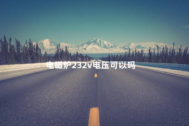 电磁炉232v电压可以吗