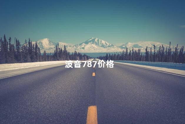 波音787价格